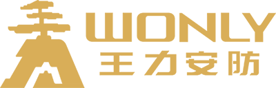 龙八国际,龙八国际头号玩家,龙8国际头号玩家安防科技股份有限公司